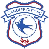 Cardiff City - Soccer Store Near