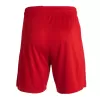 Liverpool Kit (Jersey+Shorts) Home 2023/24 - Soccer Store Near