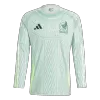 Mexico 2024 Cheap Long Sleeve Jersey Away - Soccer Store Near